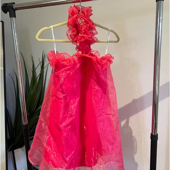A cute pink Lovers + Friends dress! Perfect for a fun dinner, rush, and more! - Picture 1 of 3